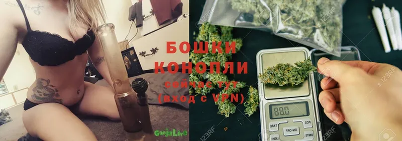 Бошки марихуана OG Kush  Белая Калитва 